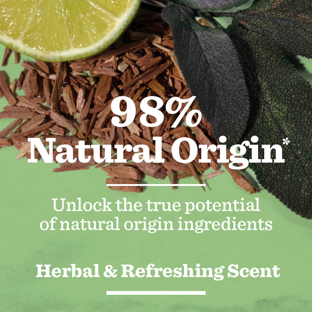 A sliced lime, green leaves, and wood shavings rest on a green surface with 98% Natural Origin* text. Discover the Original Spray Deodorant Bundle for a herbal & refreshing scent powered by natural-origin ingredients.